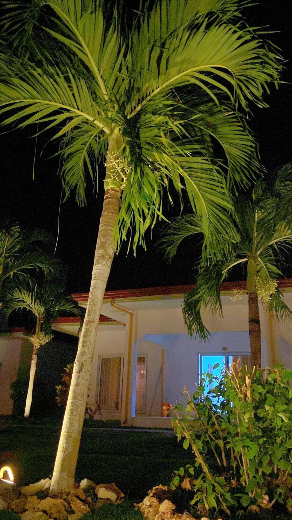 Green Mango Resort Danao  Eksteriør billede